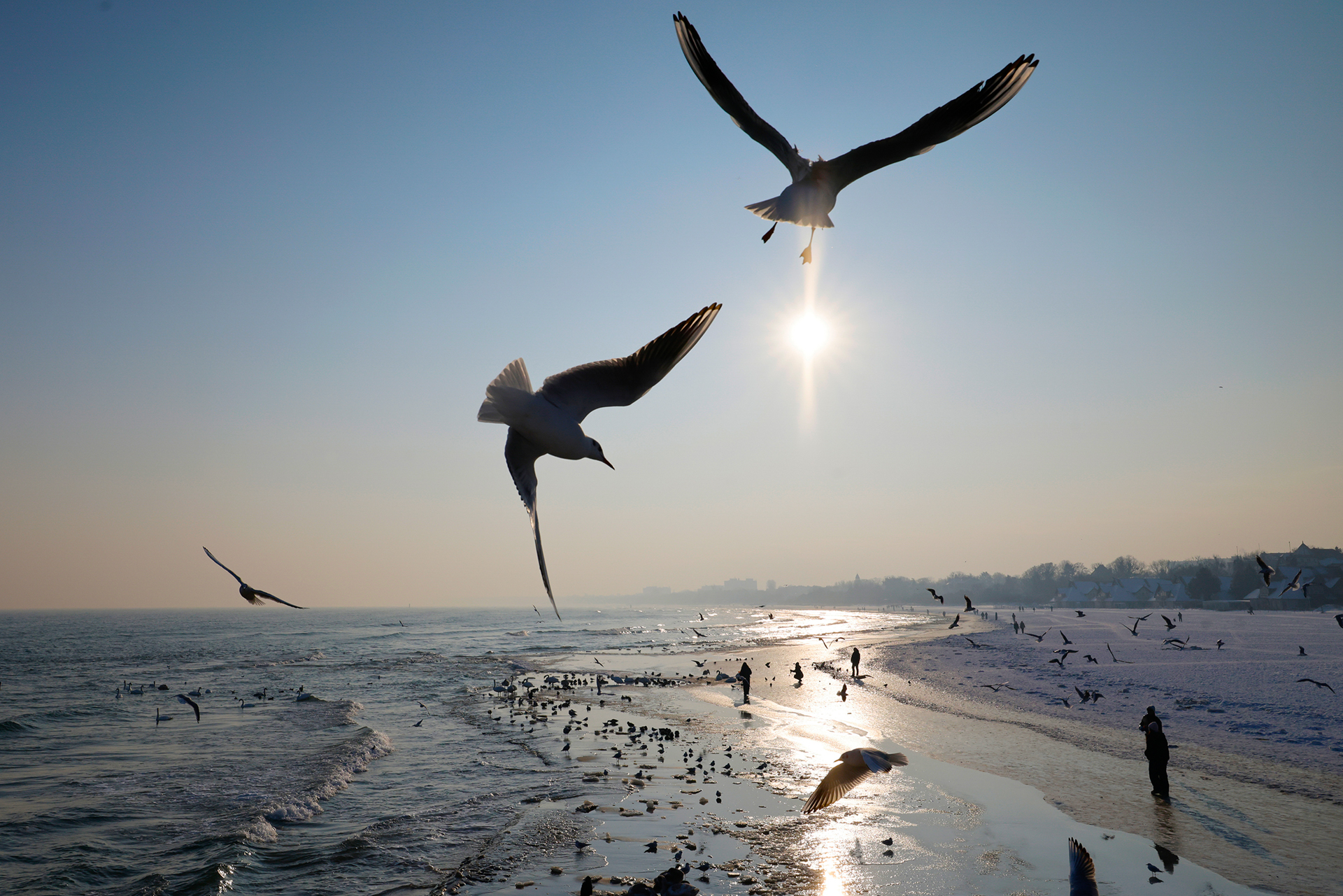 Mer Baltique en hiver à Sopot